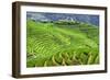 China 10MKm2 Collection - Rice Terraces - Longsheng Ping'an - Guangxi-Philippe Hugonnard-Framed Photographic Print