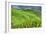 China 10MKm2 Collection - Rice Terraces - Longsheng Ping'an - Guangxi-Philippe Hugonnard-Framed Photographic Print