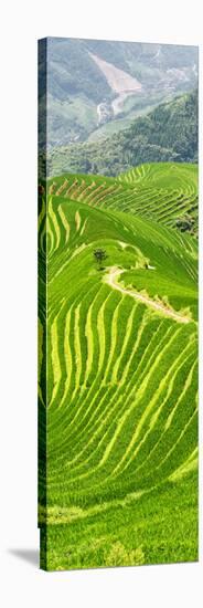 China 10MKm2 Collection - Rice Terraces - Longsheng Ping'an - Guangxi-Philippe Hugonnard-Stretched Canvas