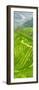 China 10MKm2 Collection - Rice Terraces - Longsheng Ping'an - Guangxi-Philippe Hugonnard-Framed Premium Photographic Print