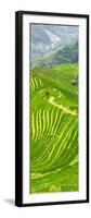 China 10MKm2 Collection - Rice Terraces - Longsheng Ping'an - Guangxi-Philippe Hugonnard-Framed Photographic Print