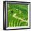 China 10MKm2 Collection - Rice Terraces - Longsheng Ping'an - Guangxi-Philippe Hugonnard-Framed Photographic Print