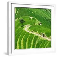 China 10MKm2 Collection - Rice Terraces - Longsheng Ping'an - Guangxi-Philippe Hugonnard-Framed Photographic Print