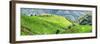 China 10MKm2 Collection - Rice Terraces - Longsheng Ping'an - Guangxi-Philippe Hugonnard-Framed Photographic Print