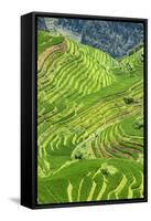 China 10MKm2 Collection - Rice Terraces - Longsheng Ping'an - Guangxi-Philippe Hugonnard-Framed Stretched Canvas