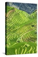 China 10MKm2 Collection - Rice Terraces - Longsheng Ping'an - Guangxi-Philippe Hugonnard-Stretched Canvas