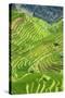 China 10MKm2 Collection - Rice Terraces - Longsheng Ping'an - Guangxi-Philippe Hugonnard-Stretched Canvas