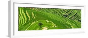 China 10MKm2 Collection - Rice Terraces - Longsheng Ping'an - Guangxi-Philippe Hugonnard-Framed Photographic Print