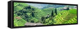 China 10MKm2 Collection - Rice Terraces - Longsheng Ping'an - Guangxi-Philippe Hugonnard-Framed Stretched Canvas