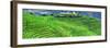 China 10MKm2 Collection - Rice Terraces - Longsheng Ping'an - Guangxi-Philippe Hugonnard-Framed Photographic Print