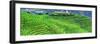 China 10MKm2 Collection - Rice Terraces - Longsheng Ping'an - Guangxi-Philippe Hugonnard-Framed Photographic Print