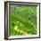 China 10MKm2 Collection - Rice Terraces - Longsheng Ping'an - Guangxi-Philippe Hugonnard-Framed Photographic Print