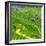 China 10MKm2 Collection - Rice Terraces - Longsheng Ping'an - Guangxi-Philippe Hugonnard-Framed Photographic Print