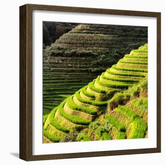 China 10MKm2 Collection - Rice Terraces - Longsheng Ping'an - Guangxi-Philippe Hugonnard-Framed Photographic Print