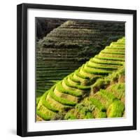 China 10MKm2 Collection - Rice Terraces - Longsheng Ping'an - Guangxi-Philippe Hugonnard-Framed Photographic Print