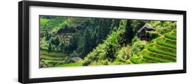 China 10MKm2 Collection - Rice Terraces - Longsheng Ping'an - Guangxi-Philippe Hugonnard-Framed Photographic Print