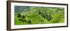 China 10MKm2 Collection - Rice Terraces - Longsheng Ping'an - Guangxi-Philippe Hugonnard-Framed Photographic Print