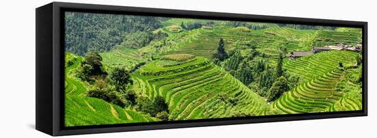 China 10MKm2 Collection - Rice Terraces - Longsheng Ping'an - Guangxi-Philippe Hugonnard-Framed Stretched Canvas