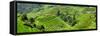 China 10MKm2 Collection - Rice Terraces - Longsheng Ping'an - Guangxi-Philippe Hugonnard-Framed Stretched Canvas