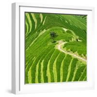 China 10MKm2 Collection - Rice Terraces - Longsheng Ping'an - Guangxi-Philippe Hugonnard-Framed Photographic Print