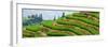 China 10MKm2 Collection - Rice Terraces - Longsheng Ping'an - Guangxi-Philippe Hugonnard-Framed Photographic Print