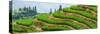 China 10MKm2 Collection - Rice Terraces - Longsheng Ping'an - Guangxi-Philippe Hugonnard-Stretched Canvas