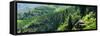 China 10MKm2 Collection - Rice Terraces - Longsheng Ping'an - Guangxi-Philippe Hugonnard-Framed Stretched Canvas