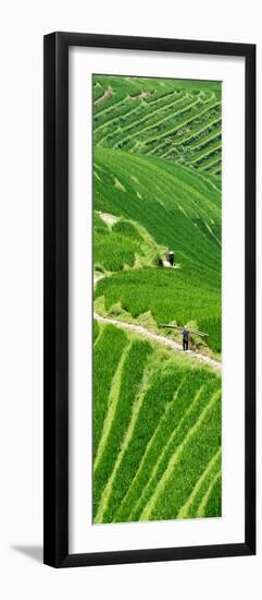 China 10MKm2 Collection - Rice Terraces - Longsheng Ping'an - Guangxi-Philippe Hugonnard-Framed Photographic Print