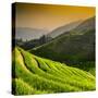 China 10MKm2 Collection - Rice Terraces - Longsheng Ping'an - Guangxi-Philippe Hugonnard-Stretched Canvas