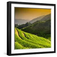 China 10MKm2 Collection - Rice Terraces - Longsheng Ping'an - Guangxi-Philippe Hugonnard-Framed Photographic Print