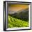 China 10MKm2 Collection - Rice Terraces - Longsheng Ping'an - Guangxi-Philippe Hugonnard-Framed Photographic Print