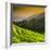 China 10MKm2 Collection - Rice Terraces - Longsheng Ping'an - Guangxi-Philippe Hugonnard-Framed Photographic Print