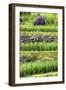 China 10MKm2 Collection - Rice Terraces - Longsheng Ping'an - Guangxi-Philippe Hugonnard-Framed Photographic Print