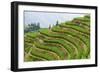 China 10MKm2 Collection - Rice Terraces - Longsheng Ping'an - Guangxi-Philippe Hugonnard-Framed Photographic Print