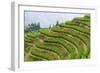 China 10MKm2 Collection - Rice Terraces - Longsheng Ping'an - Guangxi-Philippe Hugonnard-Framed Photographic Print