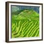 China 10MKm2 Collection - Rice Terraces - Longsheng Ping'an - Guangxi-Philippe Hugonnard-Framed Photographic Print