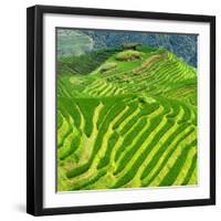 China 10MKm2 Collection - Rice Terraces - Longsheng Ping'an - Guangxi-Philippe Hugonnard-Framed Photographic Print