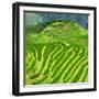 China 10MKm2 Collection - Rice Terraces - Longsheng Ping'an - Guangxi-Philippe Hugonnard-Framed Photographic Print