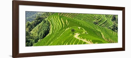 China 10MKm2 Collection - Rice Terraces - Longsheng Ping'an - Guangxi-Philippe Hugonnard-Framed Photographic Print