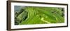 China 10MKm2 Collection - Rice Terraces - Longsheng Ping'an - Guangxi-Philippe Hugonnard-Framed Photographic Print