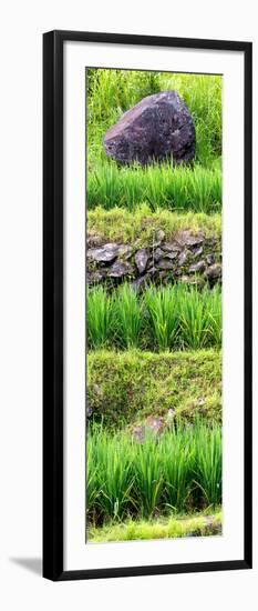 China 10MKm2 Collection - Rice Terraces - Longsheng Ping'an - Guangxi-Philippe Hugonnard-Framed Photographic Print