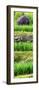 China 10MKm2 Collection - Rice Terraces - Longsheng Ping'an - Guangxi-Philippe Hugonnard-Framed Photographic Print