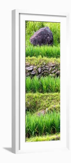 China 10MKm2 Collection - Rice Terraces - Longsheng Ping'an - Guangxi-Philippe Hugonnard-Framed Photographic Print