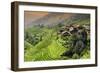 China 10MKm2 Collection - Rice Terraces - Longsheng Ping'an - Guangxi-Philippe Hugonnard-Framed Photographic Print