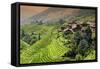 China 10MKm2 Collection - Rice Terraces - Longsheng Ping'an - Guangxi-Philippe Hugonnard-Framed Stretched Canvas