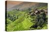 China 10MKm2 Collection - Rice Terraces - Longsheng Ping'an - Guangxi-Philippe Hugonnard-Stretched Canvas