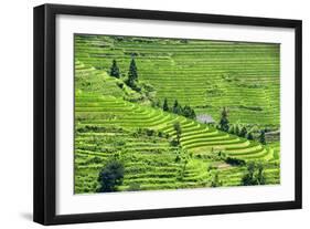 China 10MKm2 Collection - Rice Terraces - Longsheng Ping'an - Guangxi-Philippe Hugonnard-Framed Photographic Print