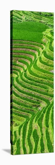 China 10MKm2 Collection - Rice Terraces - Longsheng Ping'an - Guangxi-Philippe Hugonnard-Stretched Canvas