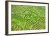 China 10MKm2 Collection - Rice Terraces - Longsheng Ping'an - Guangxi-Philippe Hugonnard-Framed Photographic Print