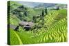 China 10MKm2 Collection - Rice Terraces - Longsheng Ping'an - Guangxi-Philippe Hugonnard-Stretched Canvas